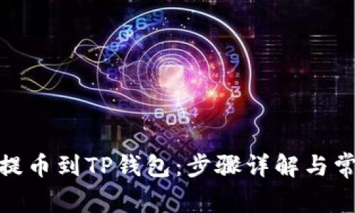 如何将XLM提币到TP钱包：步骤详解与常见问题解答