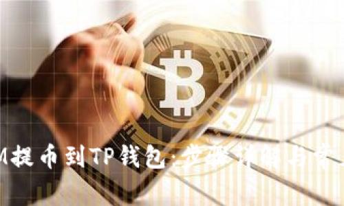 如何将XLM提币到TP钱包：步骤详解与常见问题解答