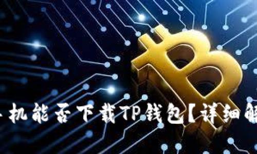 2023年苹果手机能否下载TP钱包？详细解答与实用指南