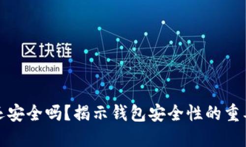 被盗的TP钱包还安全吗？揭示钱包安全性的重要性与应对策略