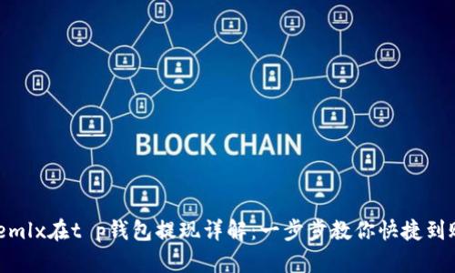 wemlx在t p钱包提现详解：一步步教你快捷到账！