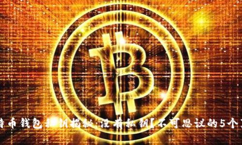 比特币钱包私钥揭秘：没有私钥？不可思议的5个真相