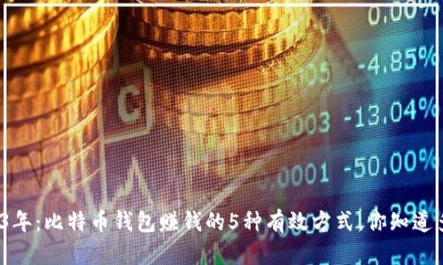 2023年：比特币钱包赚钱的5种有效方式，你知道多少？