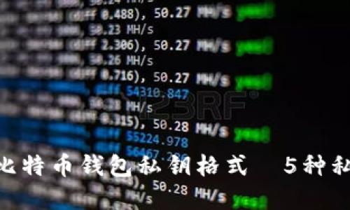 完整指南：2023年比特币钱包私钥格式—5种私钥形式及安全建议