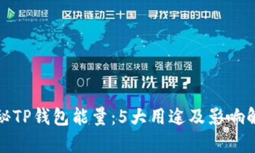 探秘TP钱包能量：5大用途及影响解析