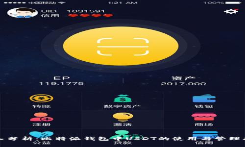 深入分析：比特派钱包中USDT的使用与管理指南