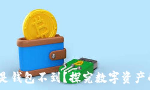   
TP钱包资产显示有，可是钱包不到？探究数字资产的常见问题及解决方案