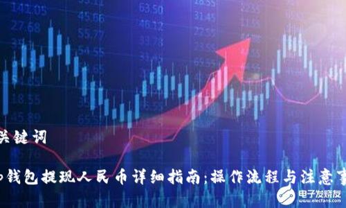 和关键词

t p钱包提现人民币详细指南：操作流程与注意事项