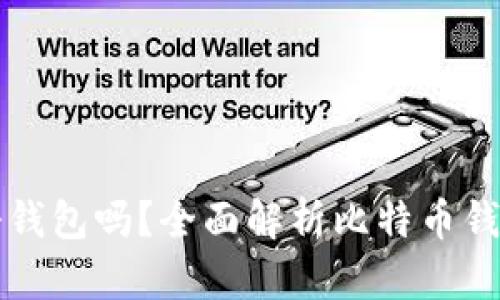 买比特币前需要注册钱包吗？全面解析比特币钱包的作用与选择技巧