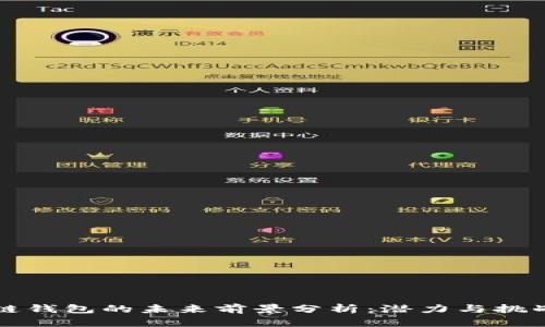 区块链钱包的未来前景分析：潜力与挑战并存