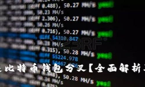 什么是比特币钱包分叉？全面解析及影响