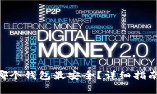 题目：USDT提到哪个钱包最安全？详细指南与常见问题解析