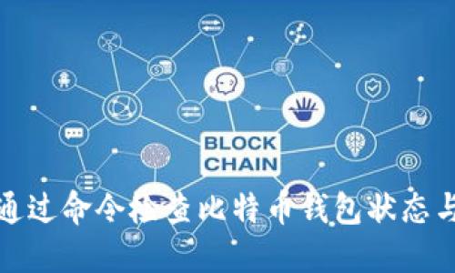 如何通过命令检查比特币钱包状态与信息