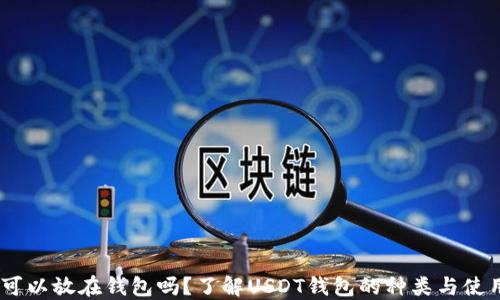 
USDT可以放在钱包吗？了解USDT钱包的种类与使用指南