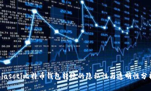 biasoti比特币钱包转账的隐私性与透明性分析