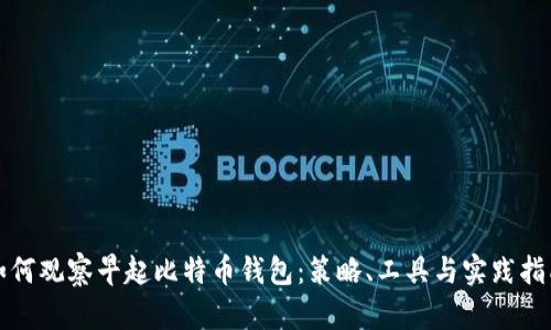 如何观察早起比特币钱包：策略、工具与实践指南