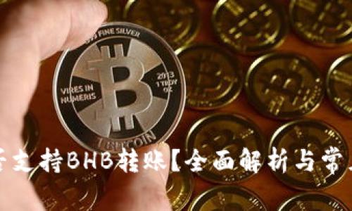 TP钱包是否支持BHB转账？全面解析与常见问题解答