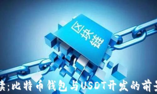 
全面解读：比特币钱包与USDT开发的前景与挑战
