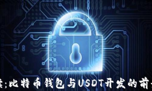 
全面解读：比特币钱包与USDT开发的前景与挑战