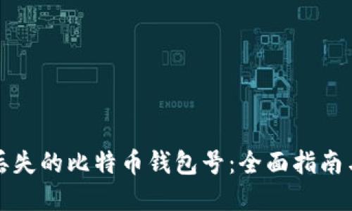 如何找回丢失的比特币钱包号：全面指南与解决方案