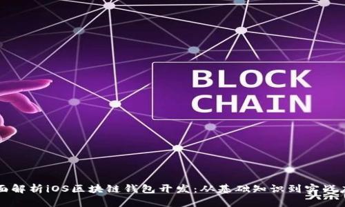 全面解析iOS区块链钱包开发：从基础知识到实战应用