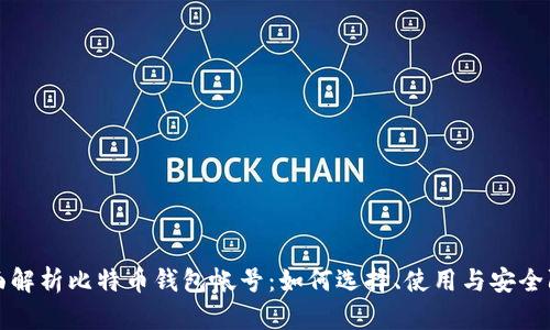 全面解析比特币钱包帐号：如何选择、使用与安全防护