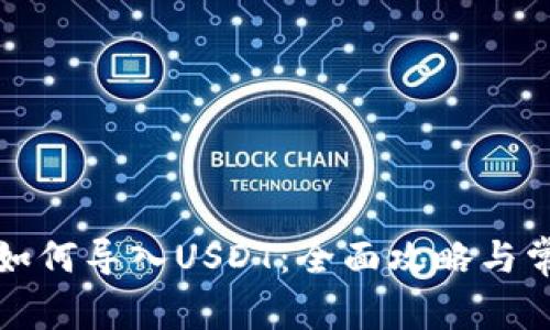 小狐狸钱包如何导入USDT：全面攻略与常见问题解答