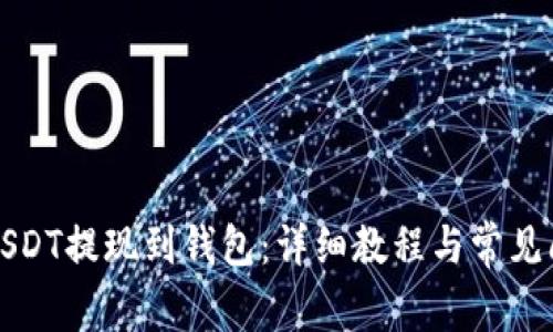 如何将USDT提现到钱包：详细教程与常见问题解析