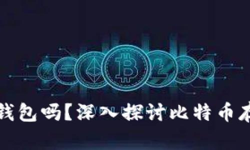比特币一定要放钱包吗？深入探讨比特币存储方式与安全性