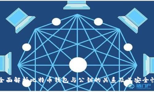 全面解析比特币钱包与公钥的关系及其安全性