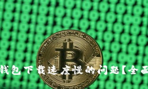 如何解决比特币钱包下载速度慢的问题？全面指南与解决方案