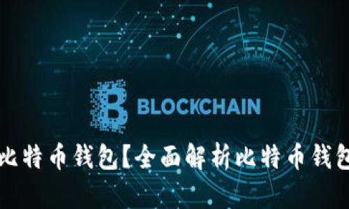 如何选择适合你的比特币钱包？全面解析比特币钱包的类型与使用方法