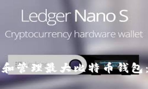 如何选择和管理最大比特币钱包：全面指南