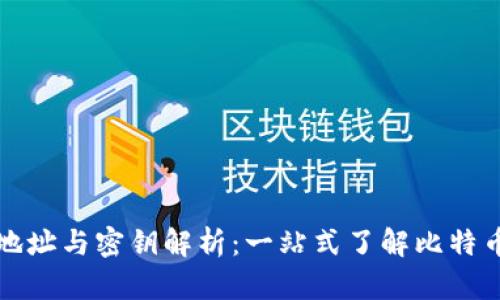比特币钱包地址与密钥解析：一站式了解比特币使用与安全