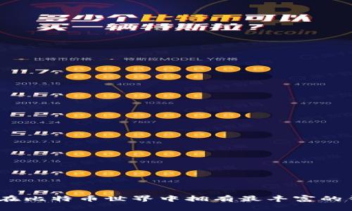 : 谁在比特币世界中拥有最丰富的钱包？