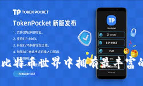 : 谁在比特币世界中拥有最丰富的钱包？