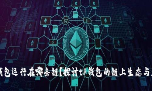 tP钱包运行在哪条链？探讨tP钱包的链上生态与应用