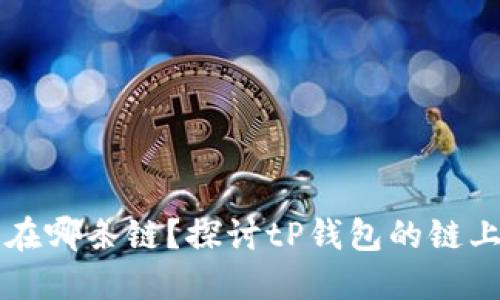 tP钱包运行在哪条链？探讨tP钱包的链上生态与应用