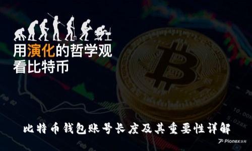 比特币钱包账号长度及其重要性详解
