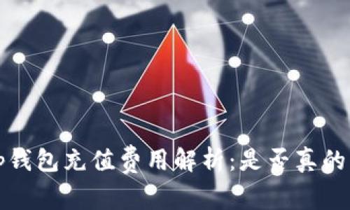 t p钱包充值费用解析：是否真的贵？