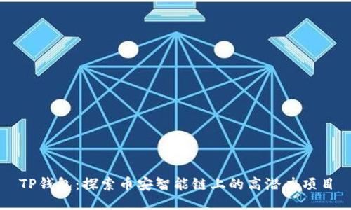 TP钱包：探索币安智能链上的高潜力项目