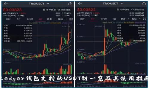 Ledger钱包支持的USDT链一览及其使用指南