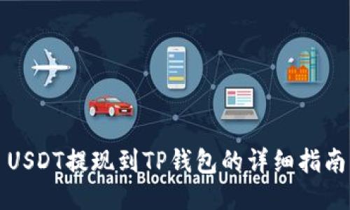 USDT提现到TP钱包的详细指南