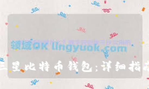 如何下载和使用三星比特币钱包：详细指南及常见问题解答