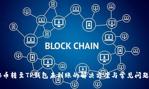 SHIB币转至TP钱包未到账的解决方案与常见问题解答