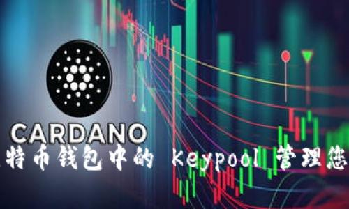 如何使用比特币钱包中的 Keypool 管理您的数字资产