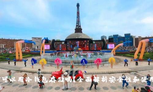 USDT可以用冷钱包存储吗？全面解析安全性和使用指南