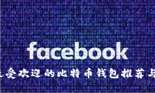 2023年最受欢迎的比特币钱包推荐与使用指南