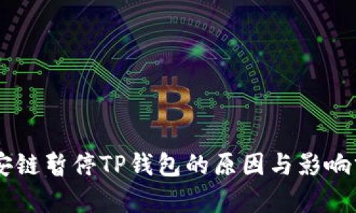 币安链暂停TP钱包的原因与影响分析
