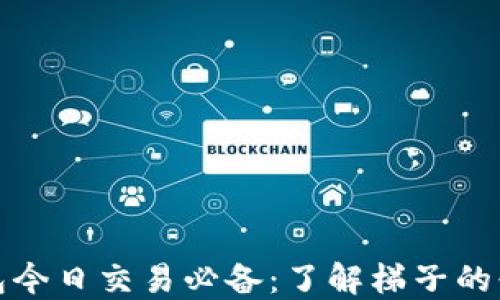 
tP钱包今日交易必备：了解梯子的必要性